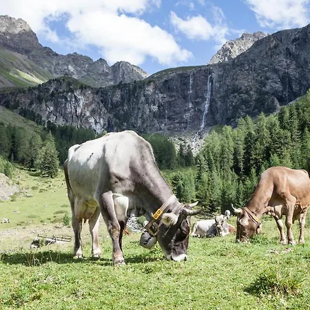 Haus Tirol 게스트하우스 리드임오브린터