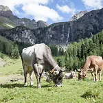 Haus Tirol Vendégház Ried im Oberinntal